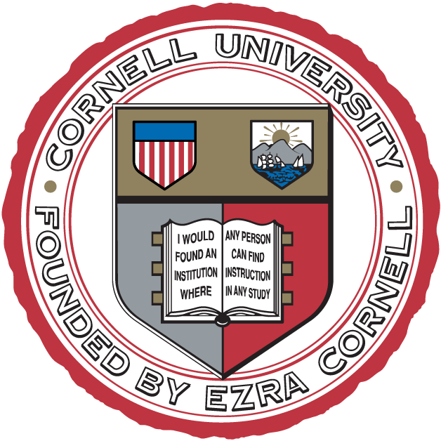 Cornell Big Red 1865-Pres Alternate Logo iron on paper